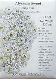Sweet Alyssum Seeds Tiny Tim 200 Seeds