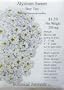 Sweet Alyssum Seeds Tiny Tim 200 Seeds