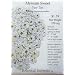 Sweet Alyssum Seeds Tiny Tim 200 Seeds