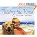 Painting the Wind (Joanna Cotler Books)