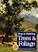 Keys to Painting Trees & Foliage