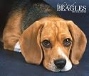 For the Love of Beagles 2007 Deluxe Calendar (Multilingual Edition)
