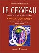 Le cerveau