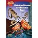 Pee Wee Scouts: Moans and Groans and Dinosaur Bones