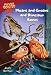 Books : Pee Wee Scouts: Moans and Groans and Dinosaur Bones (Pee Wee Scouts)