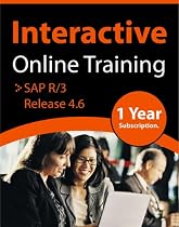 SAP R/3 Release 4.6 Online Computer Training