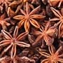 anise essential oil