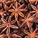 anise essential oil