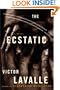 The Ecstatic: A Novel