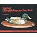 Carving 20 Realistic Game and Song Birds: Complete Patterns and Instructions (Woodcarvers Favorite Patterns, Book 1)