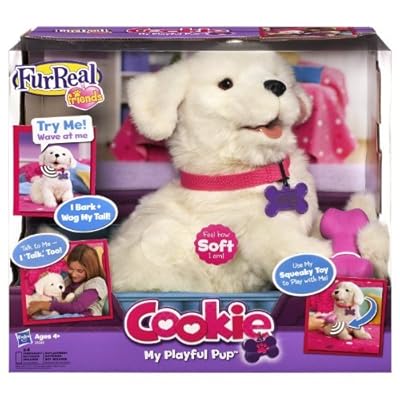 cookie my playful pup