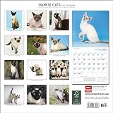Siamese Cats 2012 Calendar-