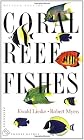 Coral reef fishes.
