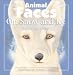 Animal Faces on Snow and Ice