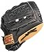 Rawlings Gold Baseball Glove Series Barrel Basket Web Softball Baseball Glove (13-Inches)