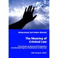 The Meaning of Criminal Law: Three Tenets on American and Comparative Constitutional Aspects of Substantive Criminal Law by  Mohammed Wattad