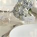 Kitchen & Housewares : Be Seated Bud Vase/Place Card Holders - Set of 4 by Two's Company