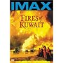 Fires of Kuwait [DVD] [1992] [Region 1] [US Import] [NTSC]