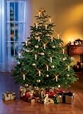 TV Das Original Kerzenzauber Weihnachtsbeleuchtung kabellos Indoor gold, 10 Kerzen