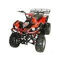 4-stroke 125cc ATV, Newest Arrival!