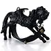 Goody Grams carousel ���åǥ�����ॹ ���롼���� �����ƥ� ���å��� [ �֥�å���BLACK�� ]
