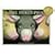 The Three Pigs (Caldecott Medal Book)