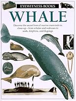 Whale (Eyewitness Books)