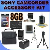 BigVALUEInc Accessory Saver FV70 Compatible Replacement Battery & Filter Kit Bundle for Sony 30mm Handycam Camcorders (HDR-CX110, HDR-CX150)+ More!