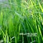 Water Redirect_2