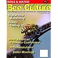 Bee Culture