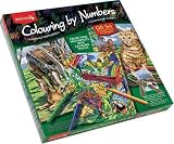 Review Reeves  / Reeves - Colouring By Numbers - Gift Set