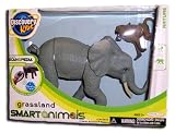 Discovery Kids Scanopedia Grassland Smart Animals Olive Baboon & African ElephantIMAGE