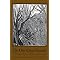 Ten American Studies Classics