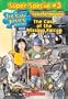 The Case of the Missing Falcon (Jigsaw Jones Mystery Super Special, No. 3)
