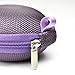 Case Star Purple Earphone handsfree headset HARD EVA Case - Clamshell/MESH Style with Zipper Enclosure, Inner Pocket, and Durable Exterior + Silver Climbing Carabiner With Case star cellphone bag