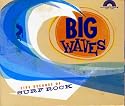 Big Waves - Five Decades of Surf Rock