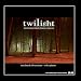 Twilight: Instrumental Piano Music