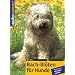 Hunde - Welpen .......