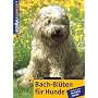 Bach-Bl�ten f�r Hunde. Dem Kosmos-Rat vertrauen von Petra Stein