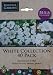 Pack of 40 'White collection' bulbs
