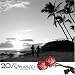 Search : 20 Romances Gruperos, Vol. 2