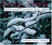 Book Snow, Snow: Winter poems for Children
