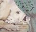 Books : Can You See a Little Bear?