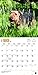 Airedale Terriers 2016 Square 12x12 (Multilingual Edition)