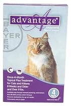 Advantage Once-A-Month Topical Flea Treatment for Cats Over 9 Lbs (4 Applications)