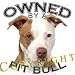 Pit Bull REDWHITE