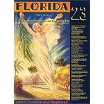 The Journal of Decorative and Propaganda Arts 23: Florida Theme Issue book cover