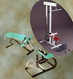 Maxicam Lat Pulldown/Low Row