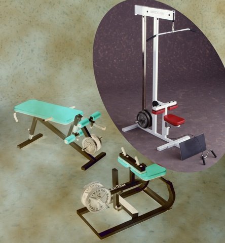 Maxicam Lat Pulldown/Low Row