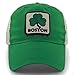 Boston Mesh Cap Shamrock Celtic Design (Green)